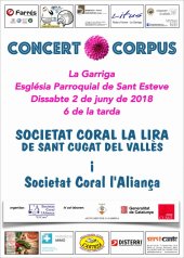 Imatge de complement